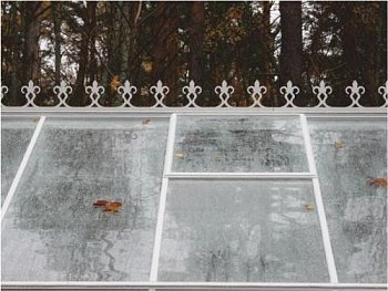 Декоративные элементы Декоративные элементы